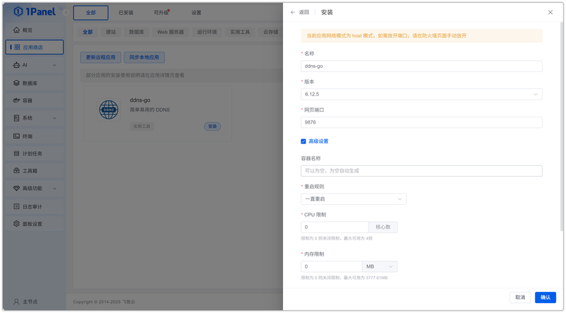 图 3 配置安装参数——安装 ddns-go 的参数配置