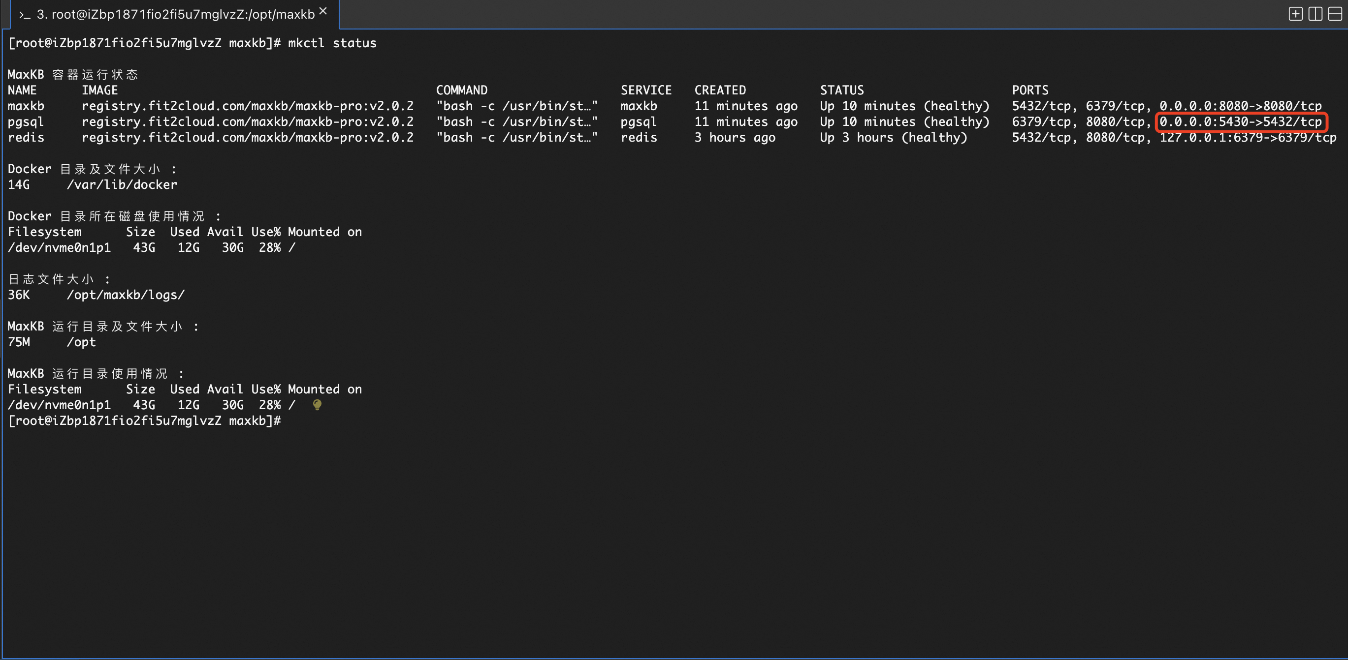 图 3  pgsql 暴露后访问效果