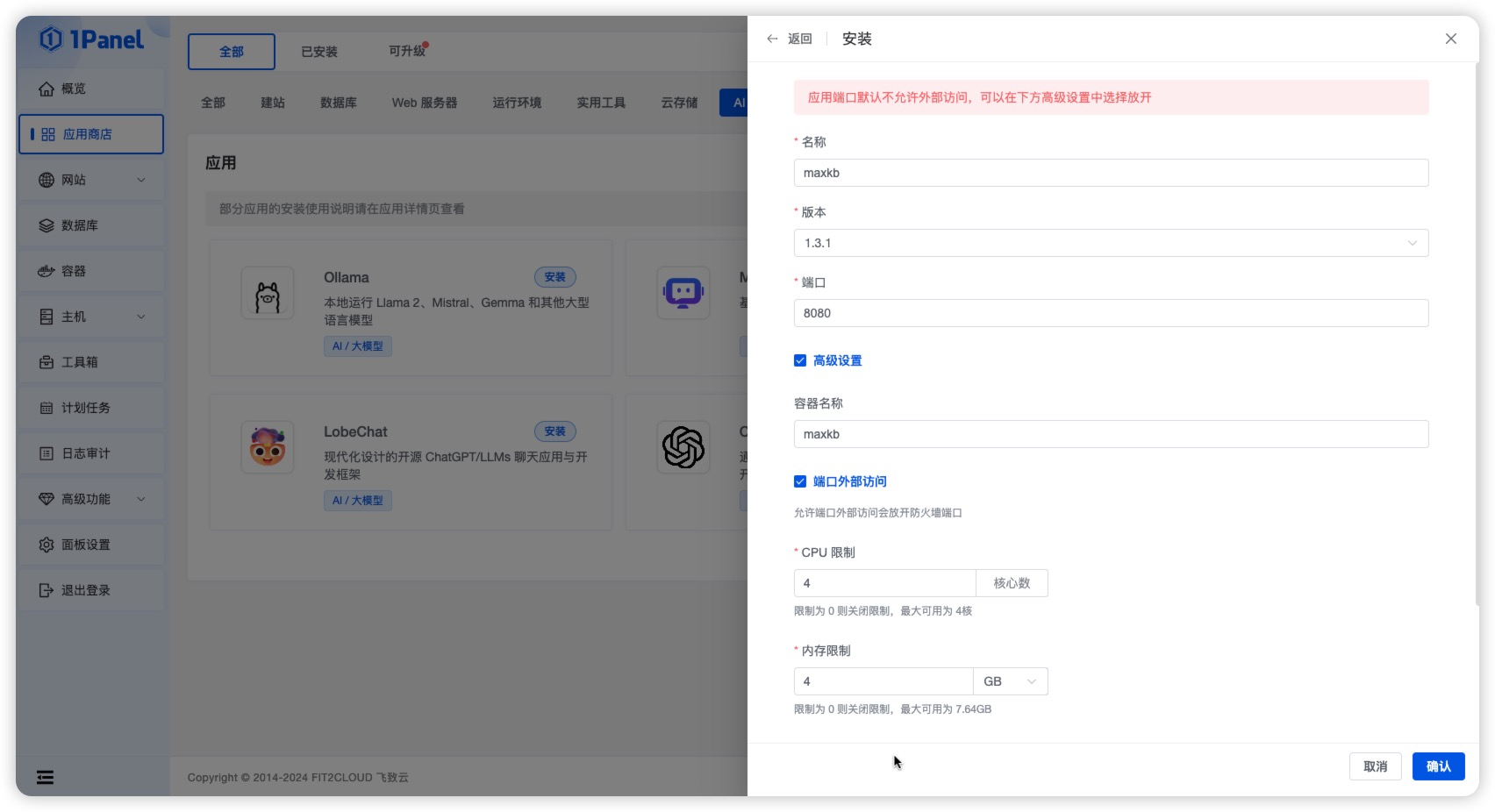 图 3  MaxKB 应用安装参数设置