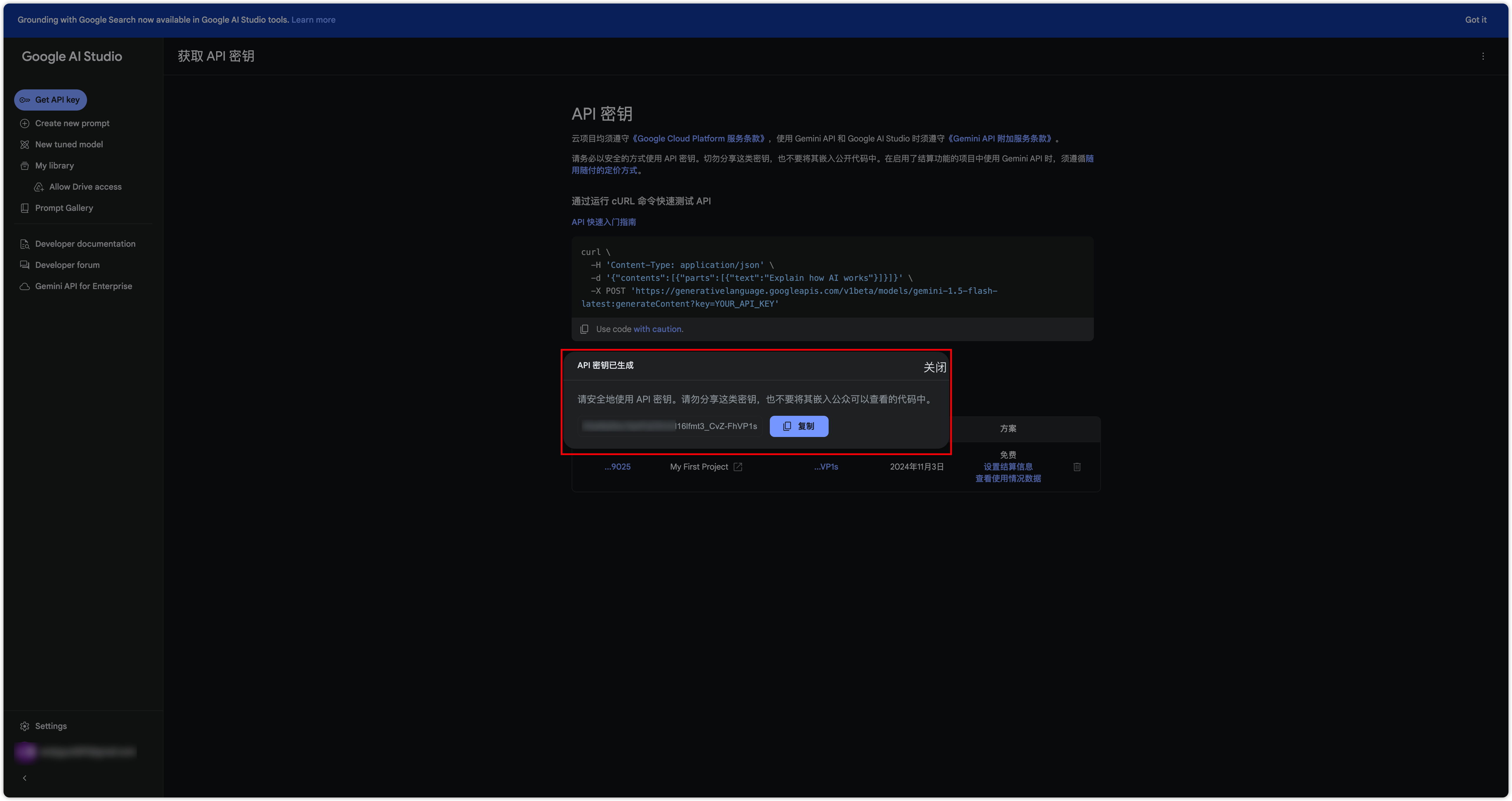 图 1  Gemini APIKEy